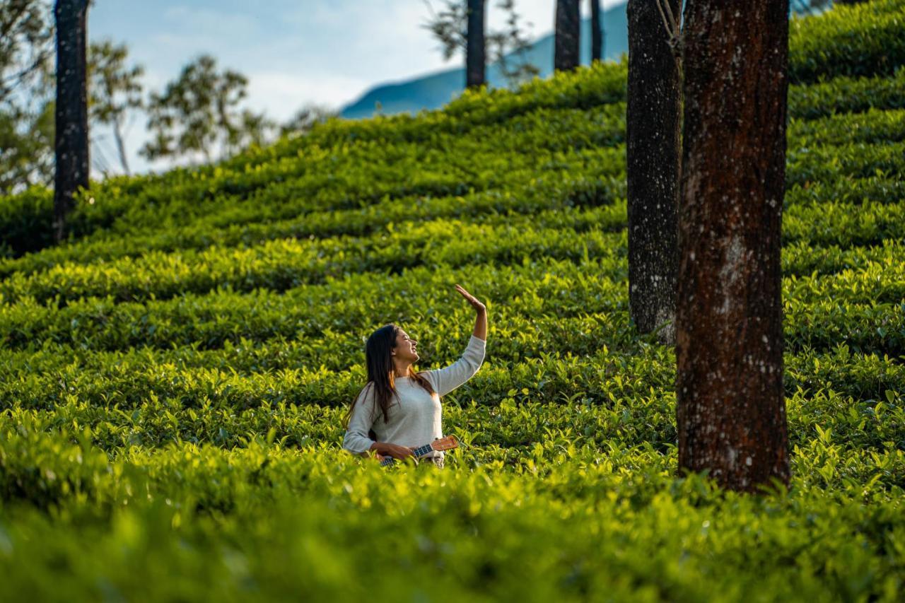 Zostel Plus Wayanad Kalpatta Exterior foto